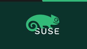 suse-could-be-sold